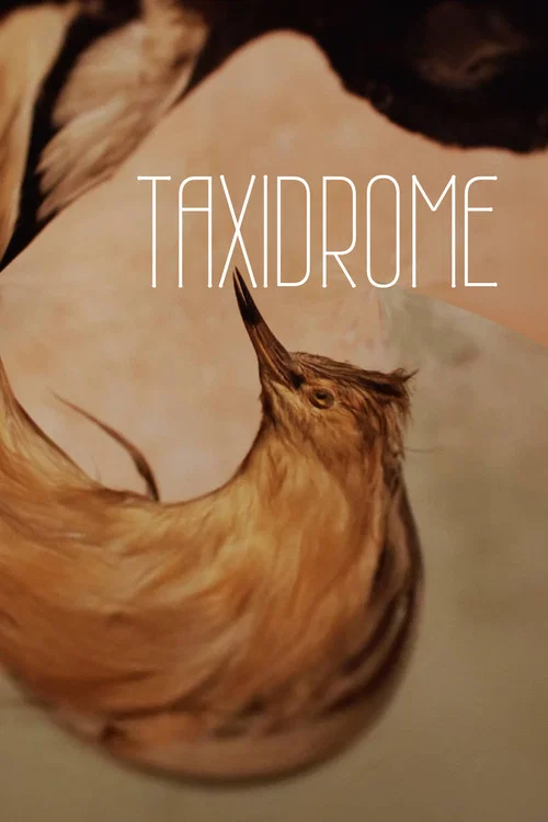 Taxidrome постер