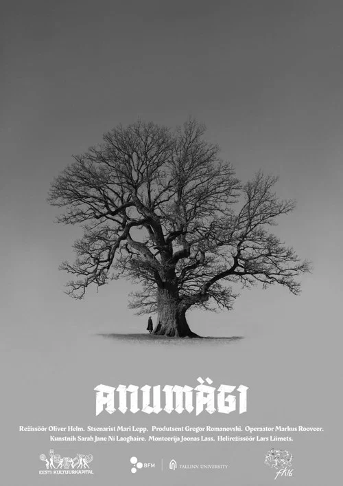 Anumägi постер