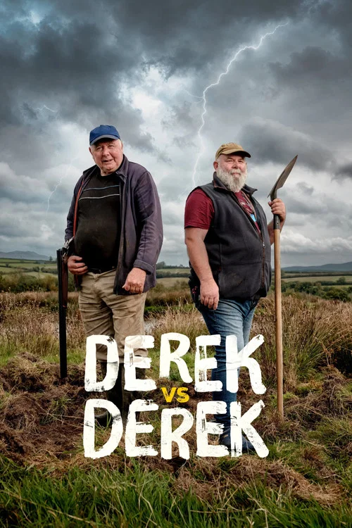 Derek vs Derek постер