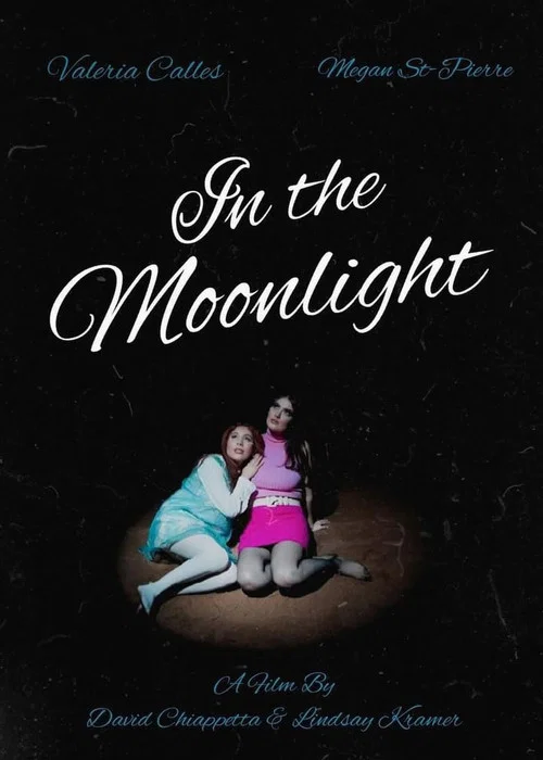 in the moonlight постер