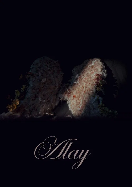 Alay постер