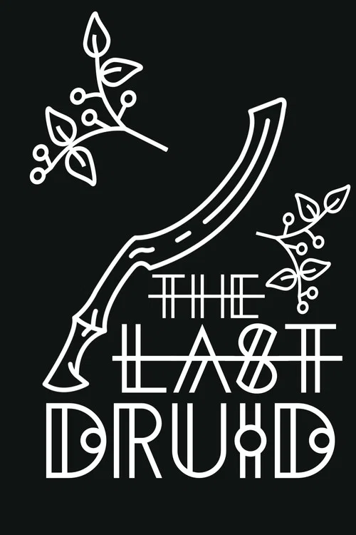 The Last Druid постер