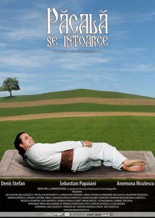 Păcală se întoarce постер