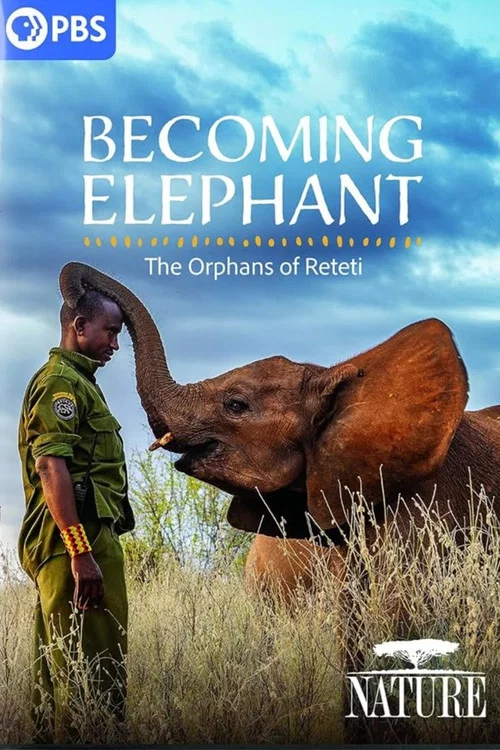 Becoming Elephant: The Orphans of Reteti постер