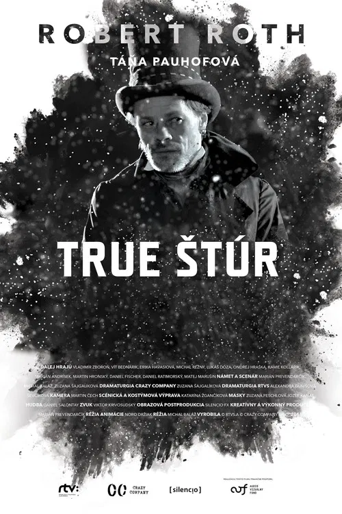 True Štúr постер