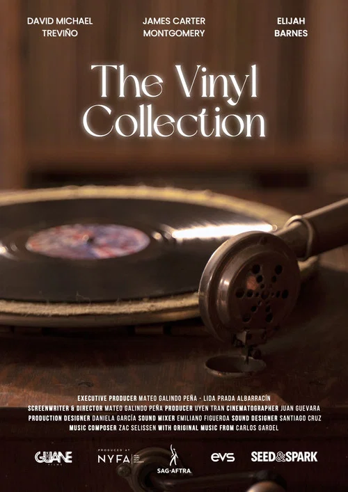 The Vinyl Collection постер