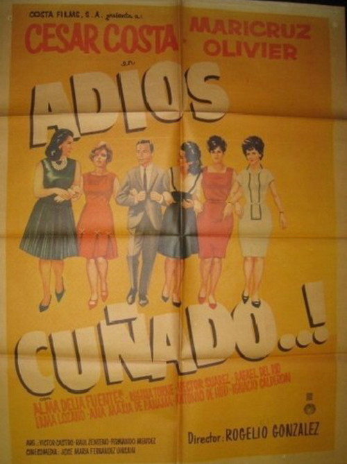 Adios cuñado постер
