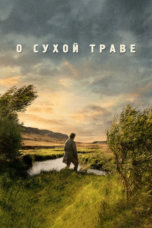 О сухой траве постер