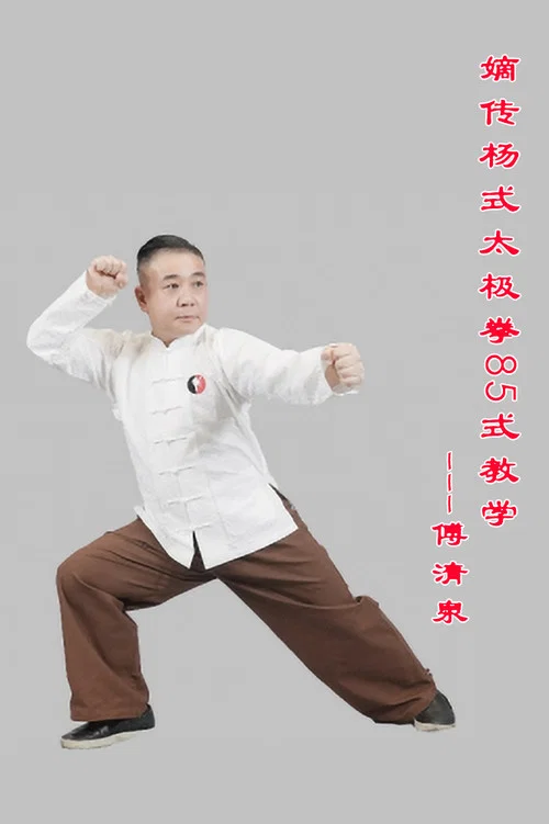 嫡传杨式太极拳 постер