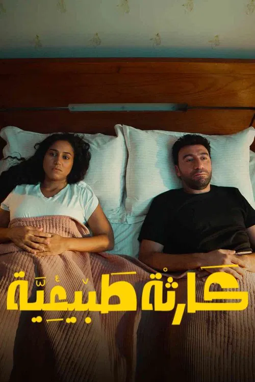 كارثة طبيعية постер
