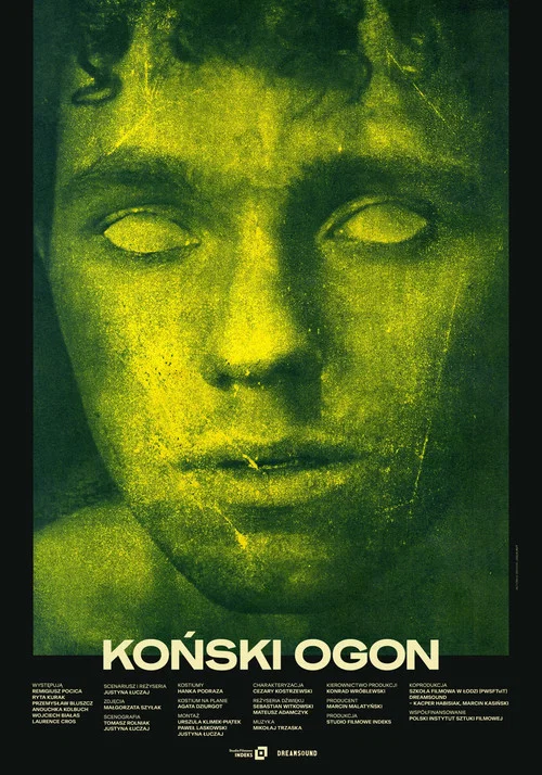 Koński ogon постер