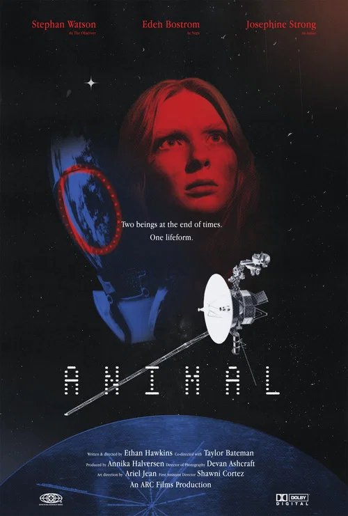 Animal постер
