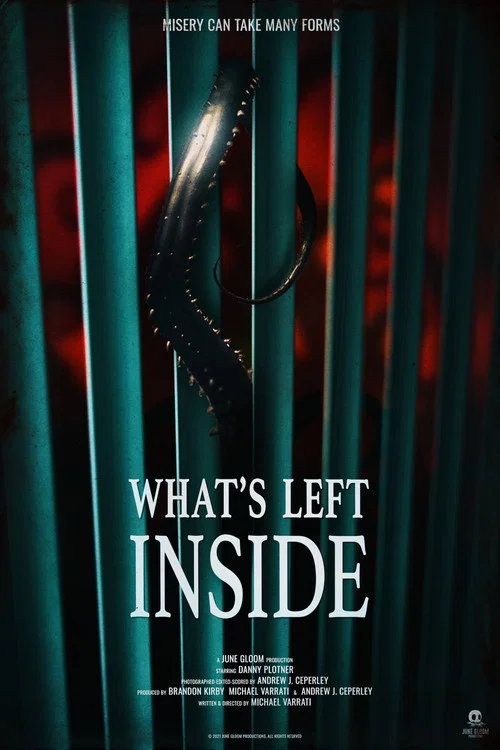 What's Left Inside постер