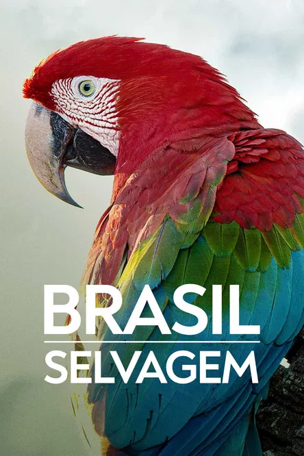 Brazil Untamed постер