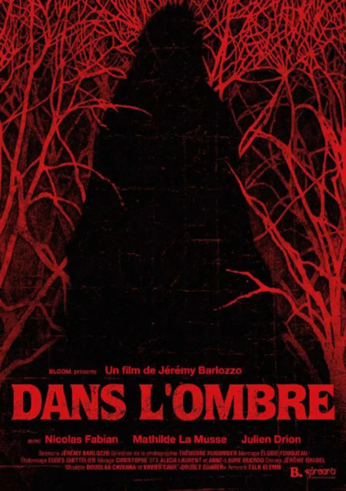 Dans l’ombre постер