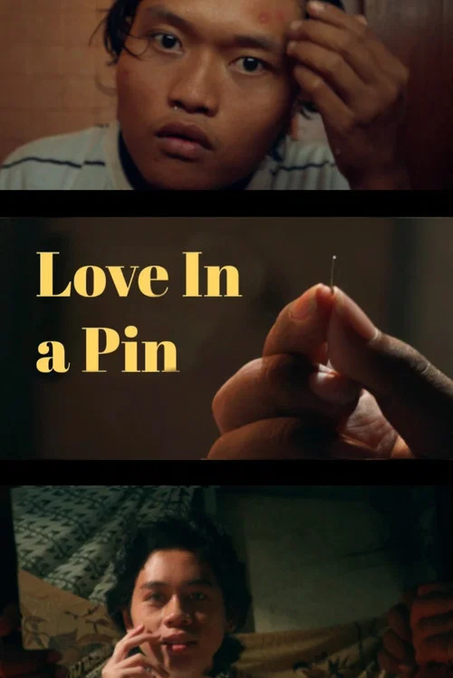 Love In A Pin постер