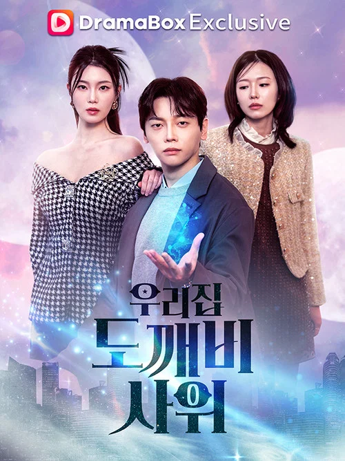 우리집 도깨비 사위 постер