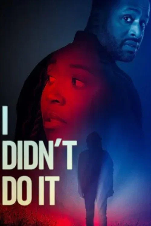 I Didn't Do It постер