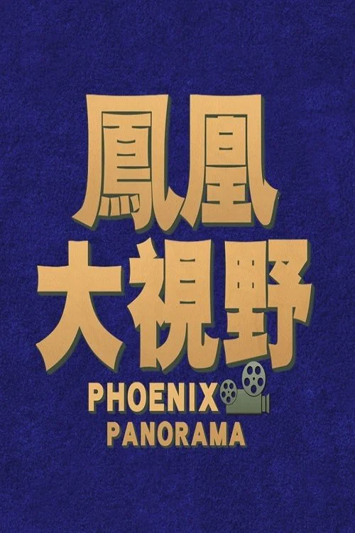 凤凰大视野 постер