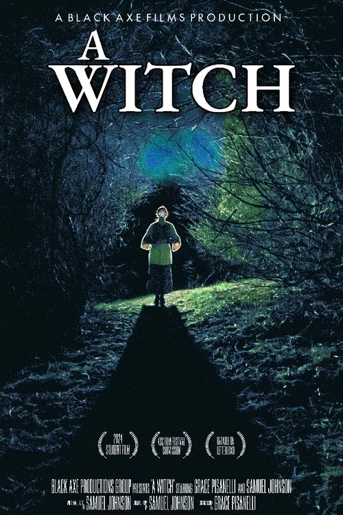 A Witch постер