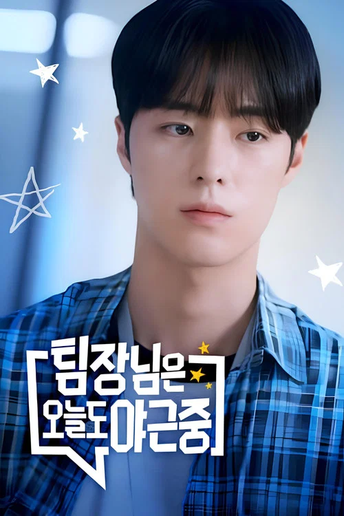 팀장님은 오늘도 야근중 постер