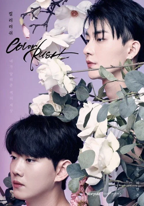 컬러 러쉬 постер