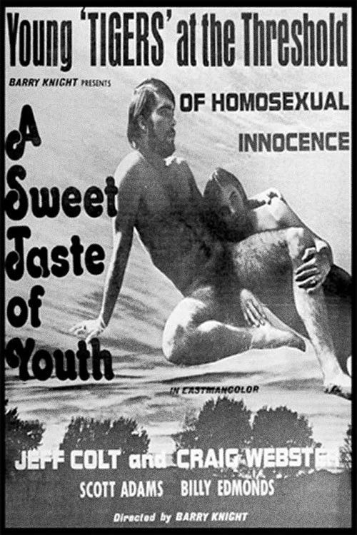 A Sweet Taste of Youth постер