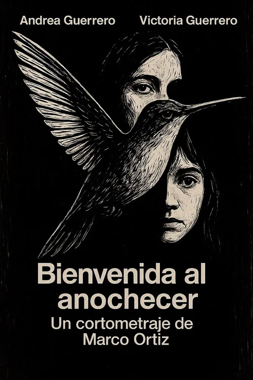 Bienvenida al Anochecer постер