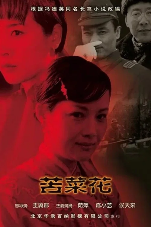 苦菜花 постер