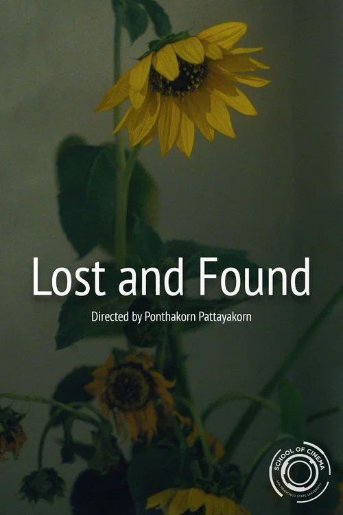 Lost and Found постер