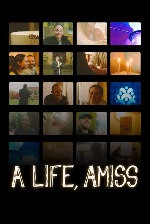 A Life, Amiss постер