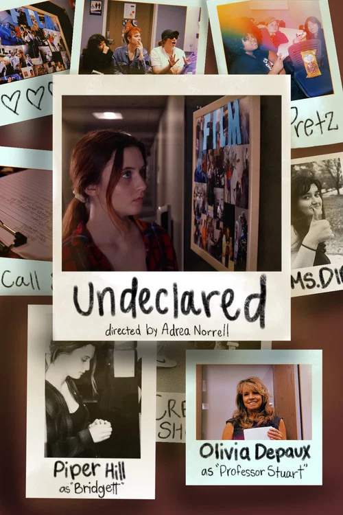 Undeclared постер