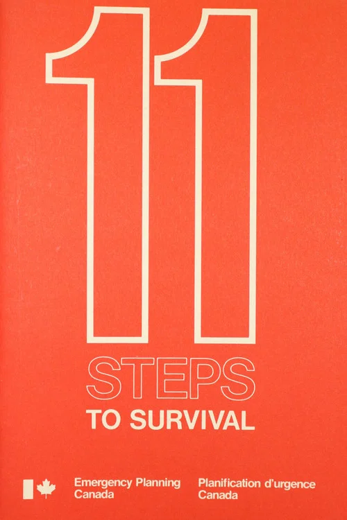 11 Steps to Survival постер