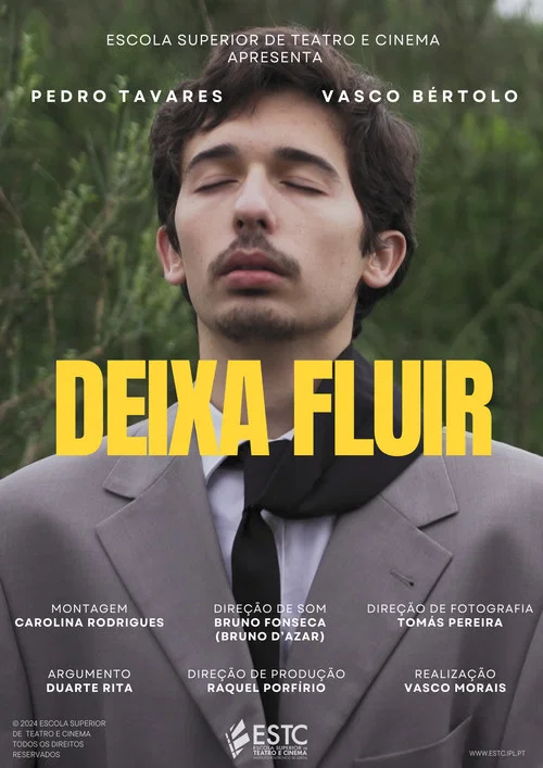 Deixa Fluir постер