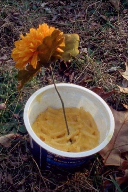 Macaroni Serenade постер