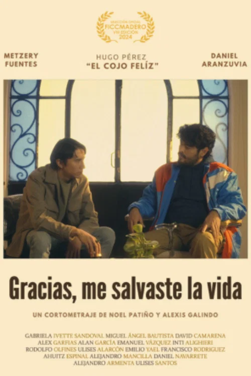 Gracias, Me Salvaste la Vida постер