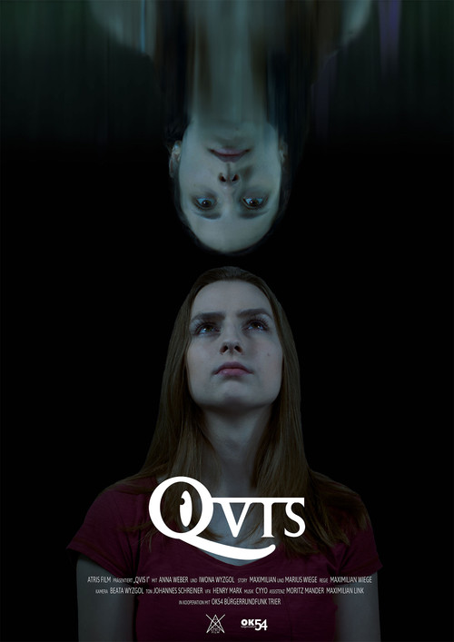 QVIS I постер
