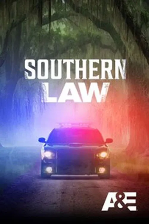 Southern Law постер