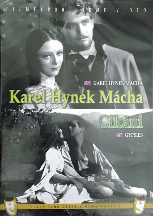 Cikáni постер