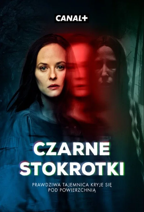 Czarne Stokrotki постер