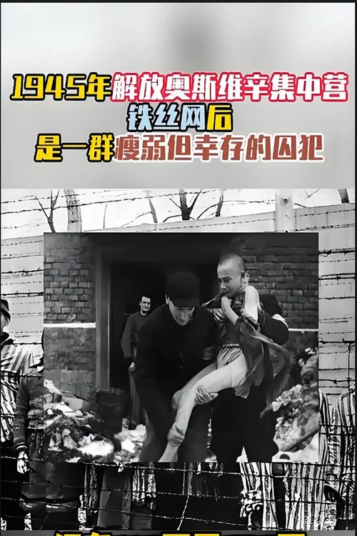 奥斯维辛集中营 постер