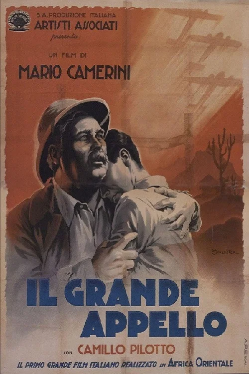 Il grande appello постер