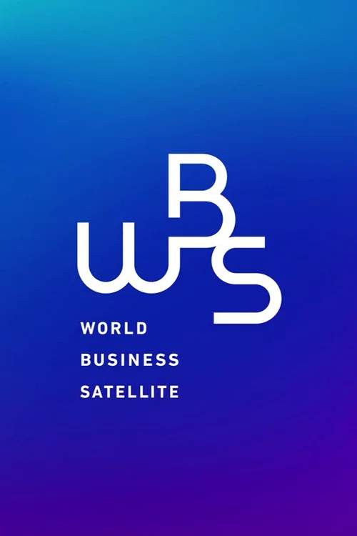 WBS постер
