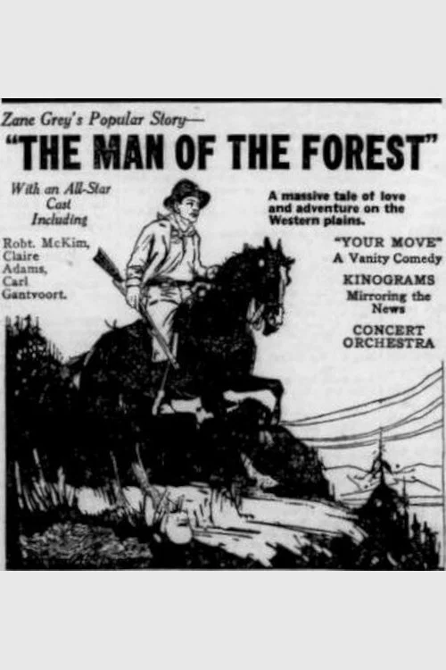 The Man Of The Forest постер