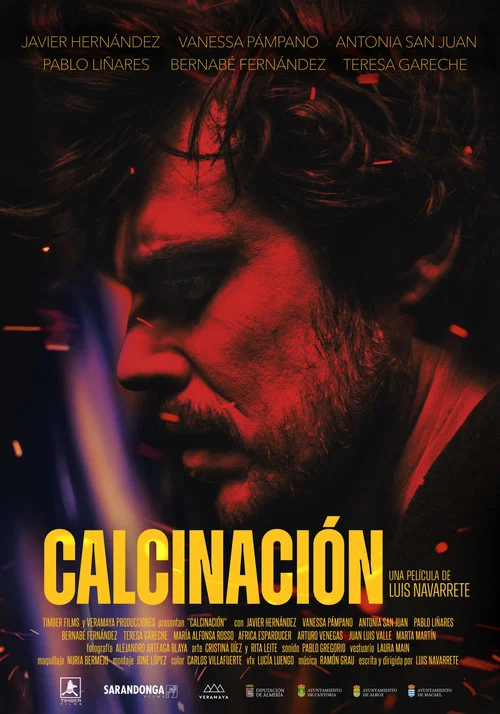 Calcinación постер