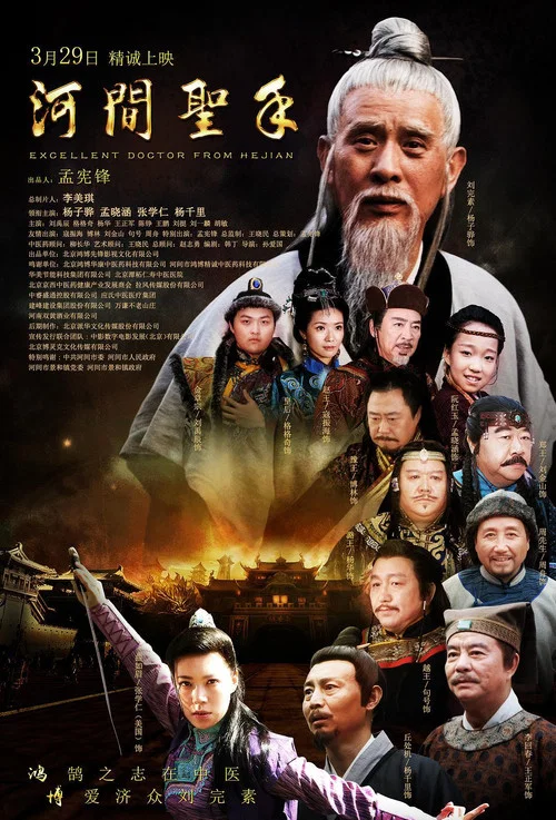 河间圣手 постер