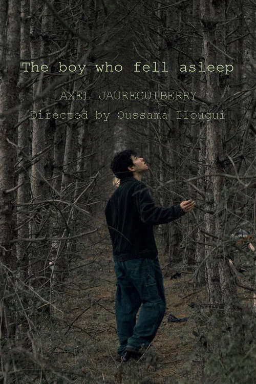 The boy who fell asleep постер
