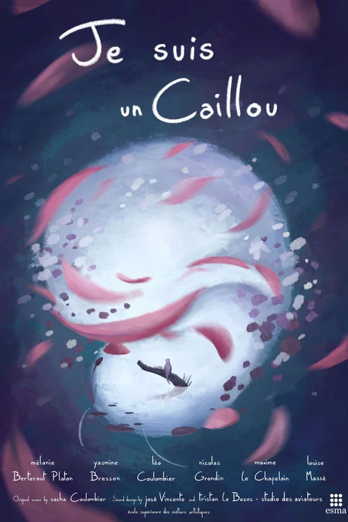 Je suis un Caillou постер