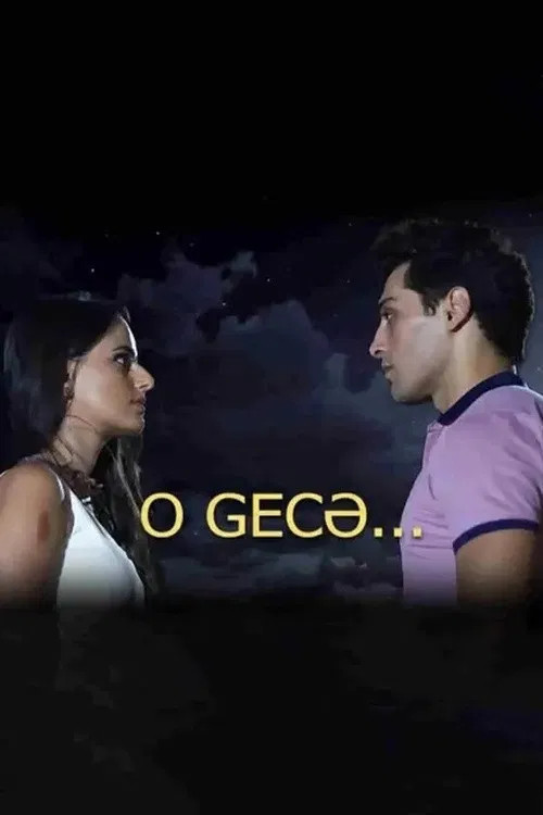 O gecə постер