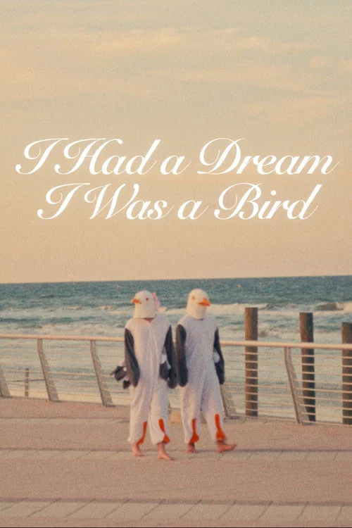 I Had a Dream I Was a Bird постер
